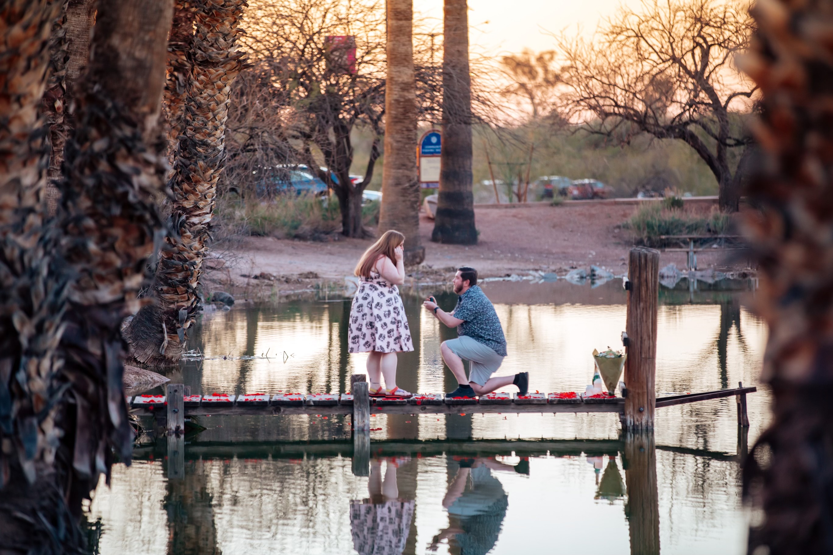 Proposal photo