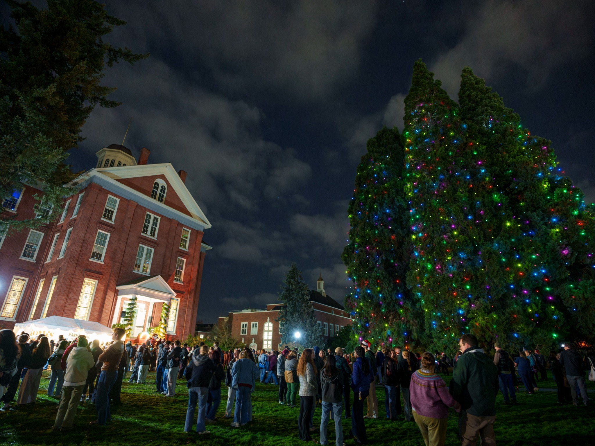 The 2025 Star Trees Lighting Ceremony