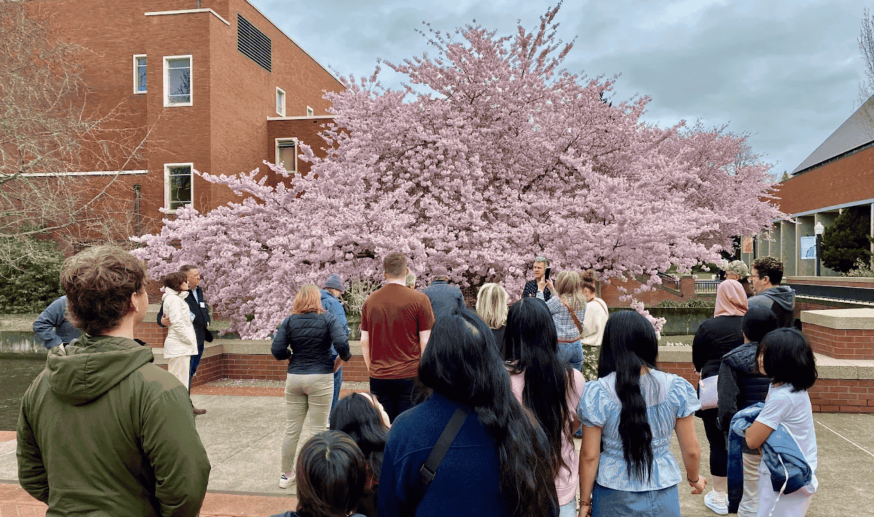 Salem Cherry Blossom Festival.